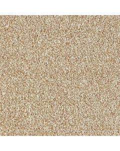 Stain Guardian Country Twist-Country Beige 05