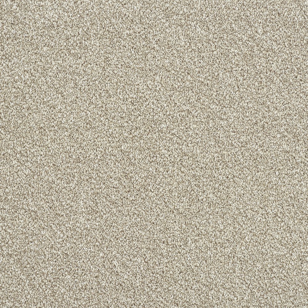 Plaster