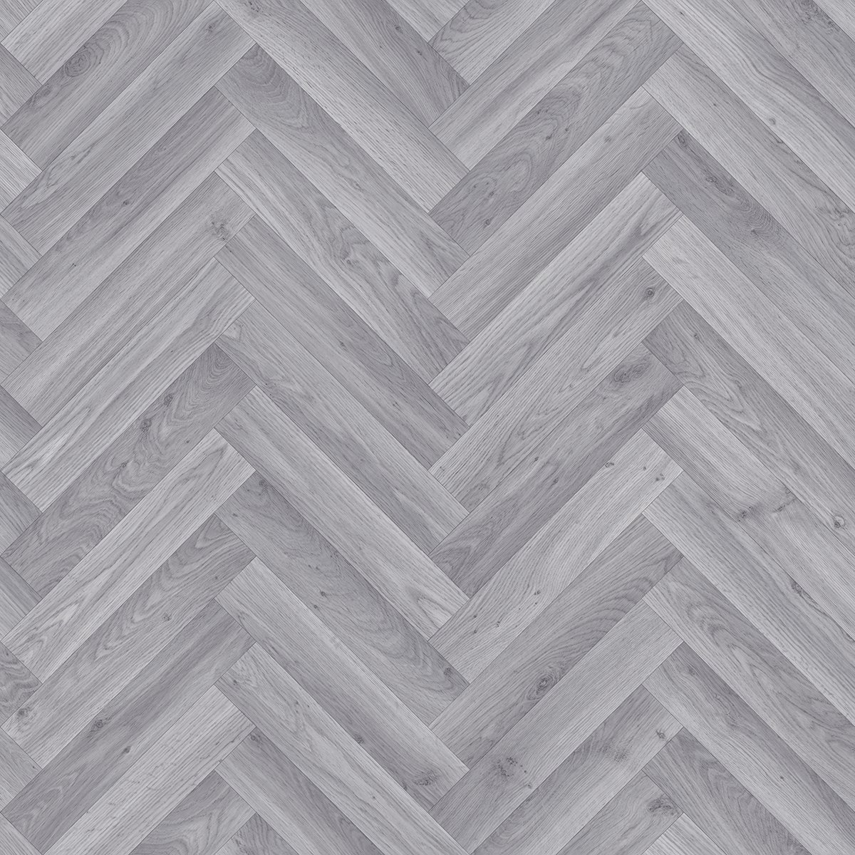 Grey Elm