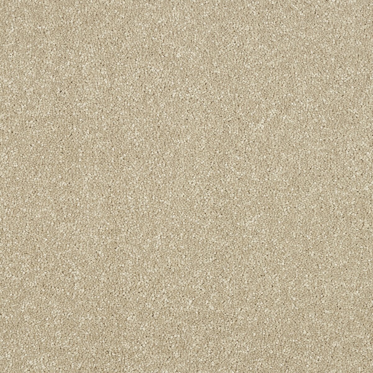Fossil