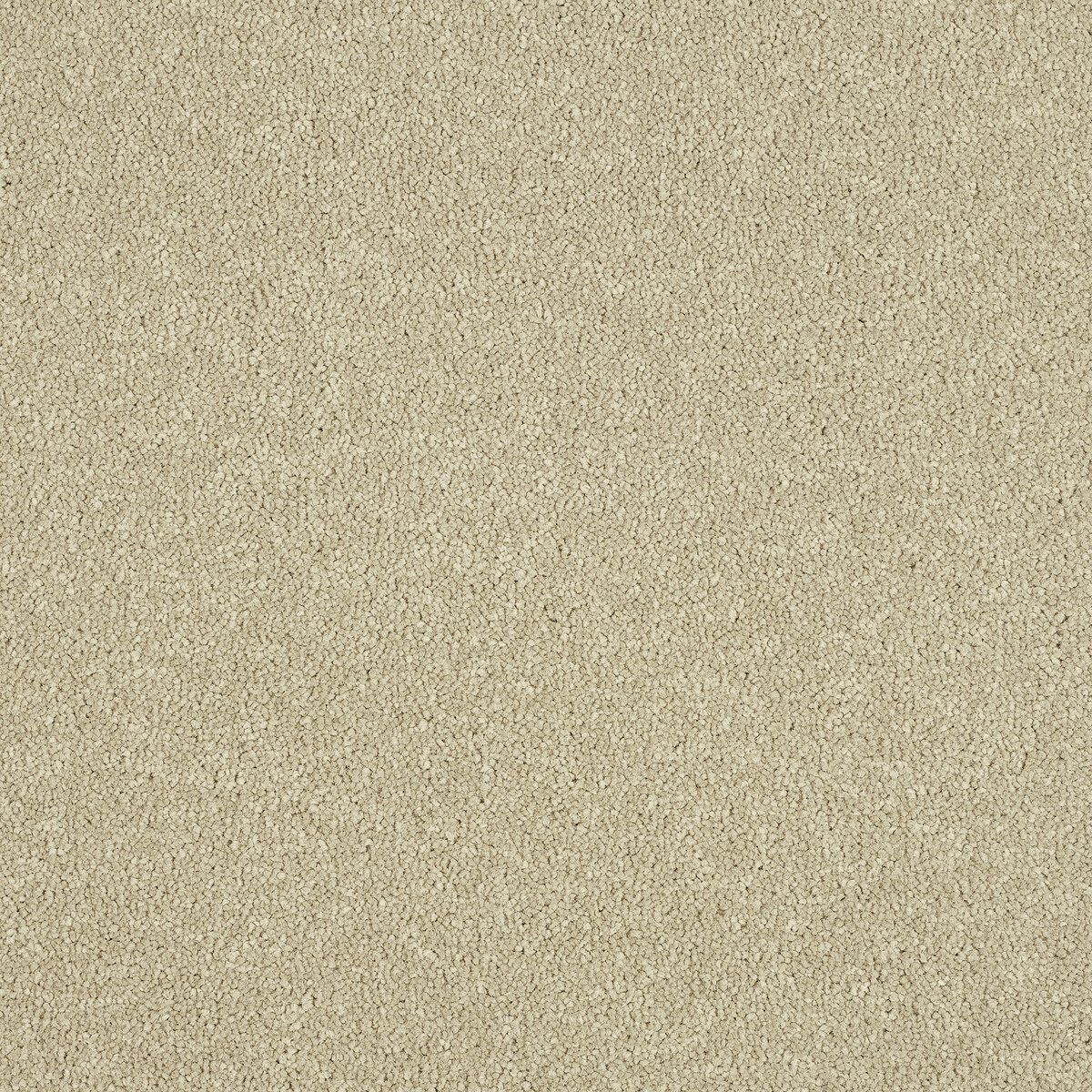 Tortilla