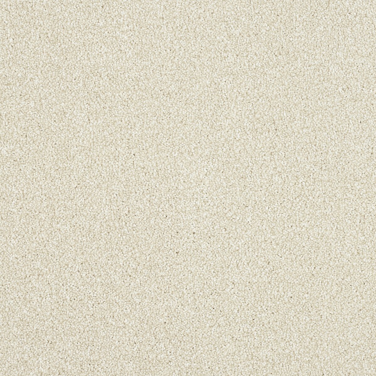 Bone