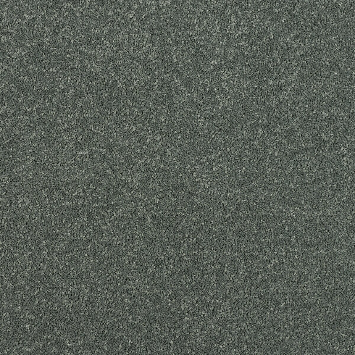 Dark Olive