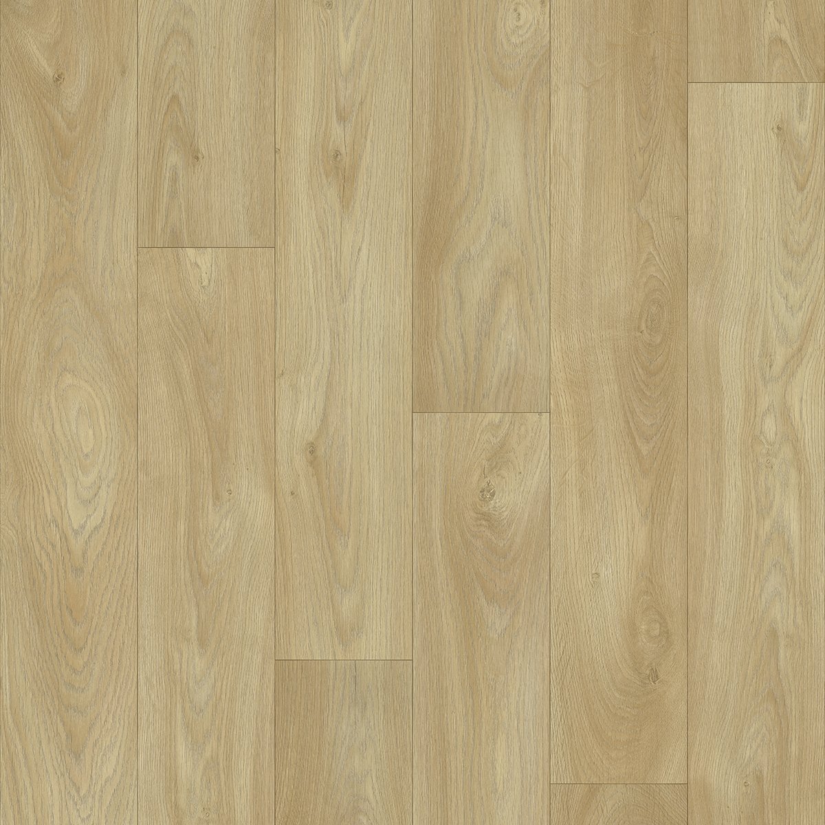 Merlot Oak