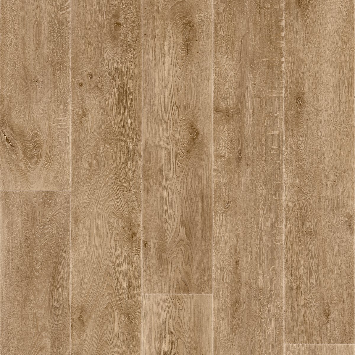 Warm Oak