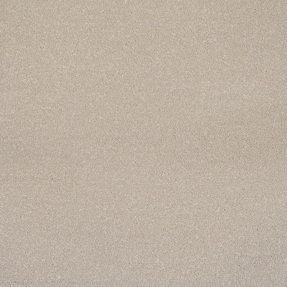 Olympus Ultra swatch