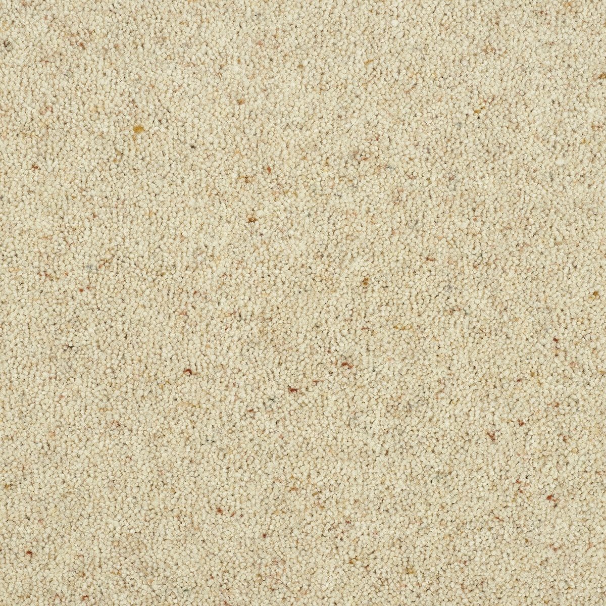 Afghan
