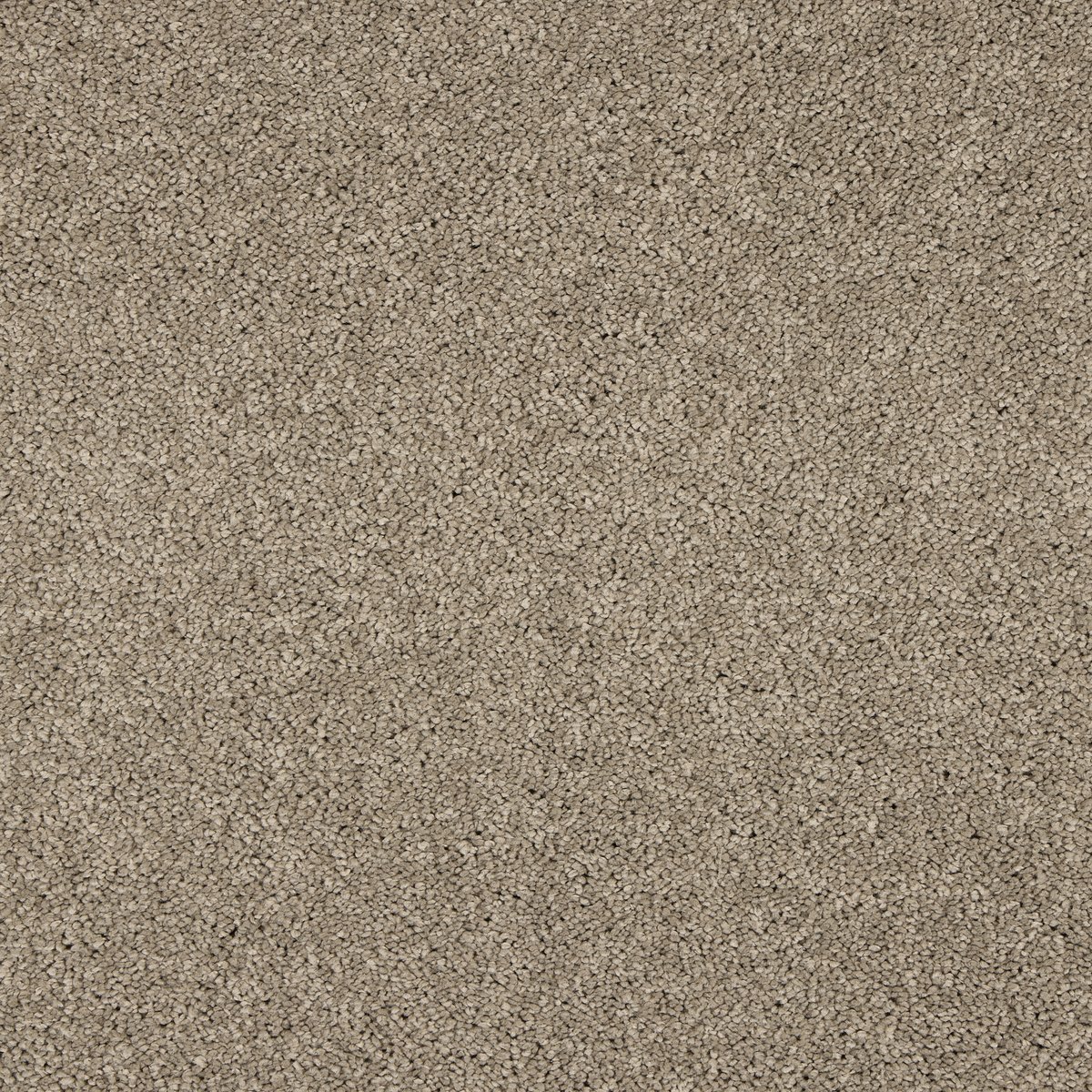 Extravagance swatch