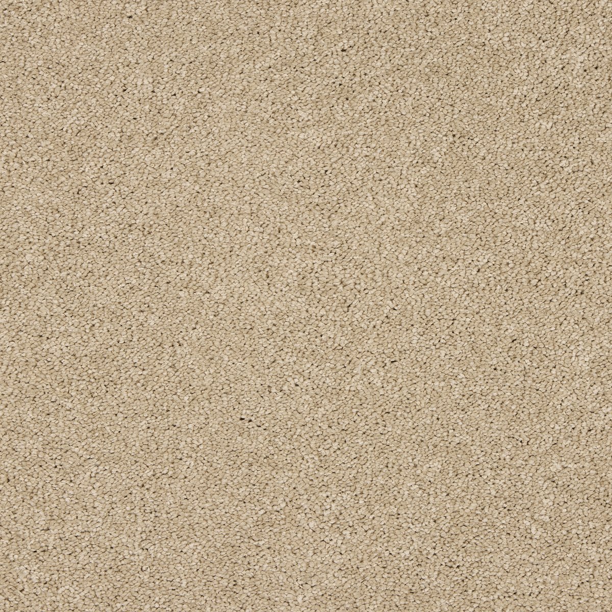 Sandcastle