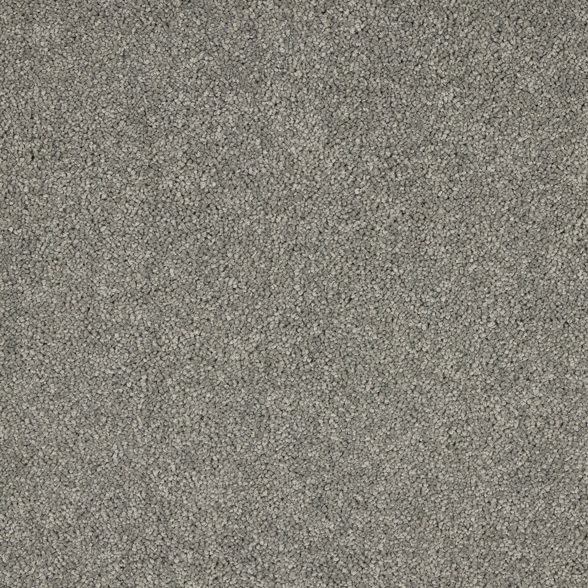 Grey Shingle