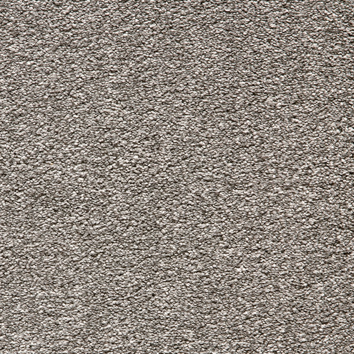 Serene Gray