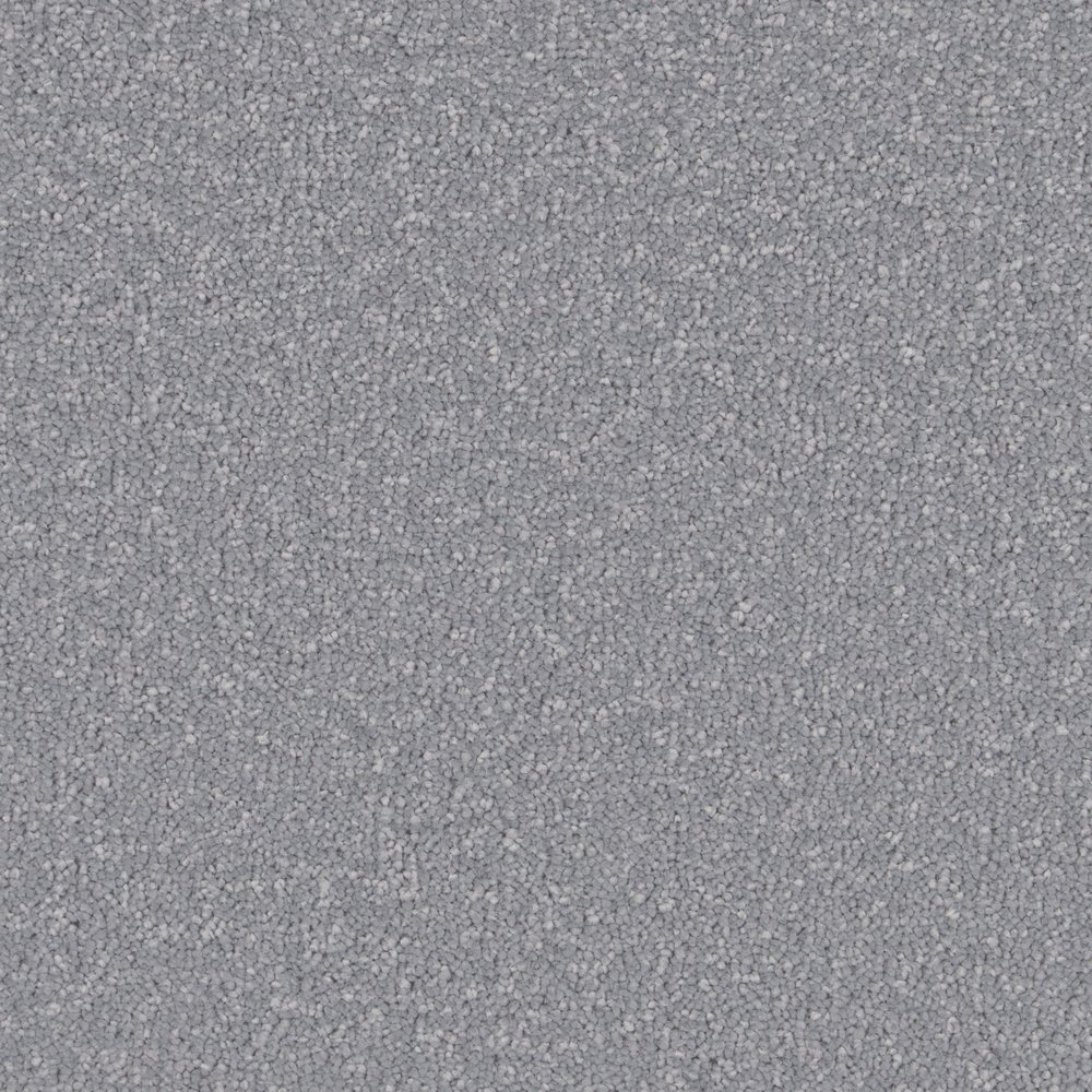 Dapple Grey