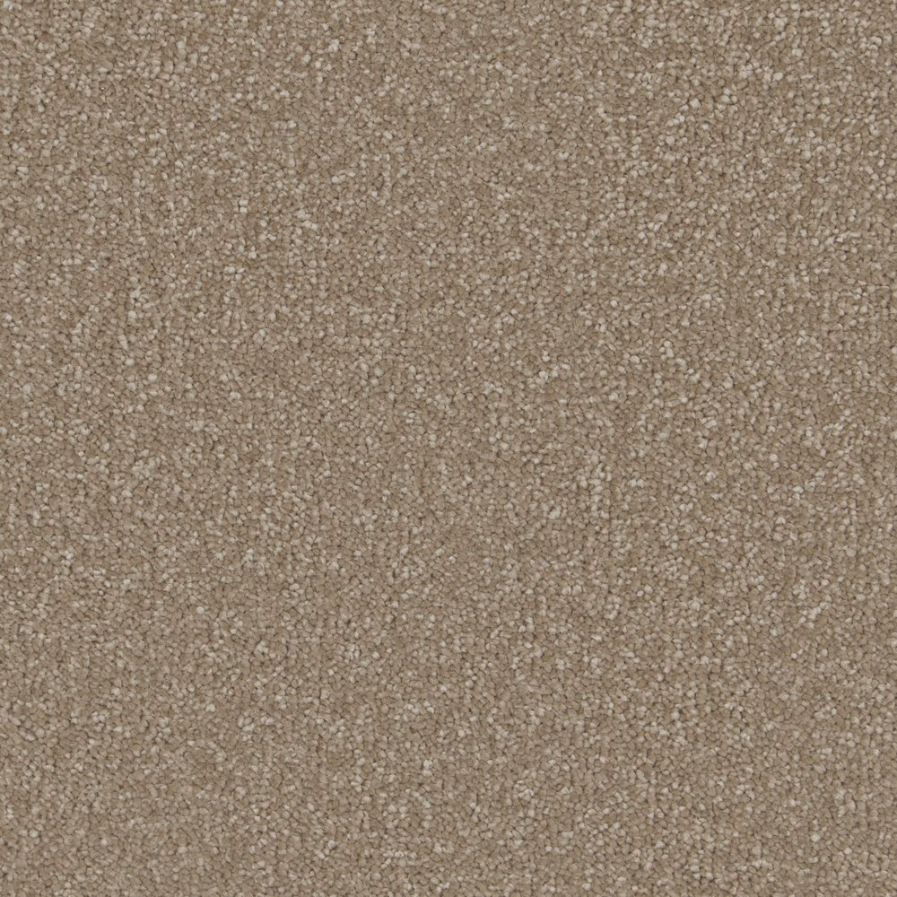Paving Stone
