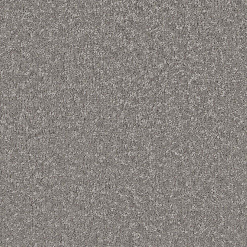 Silver Shimmer