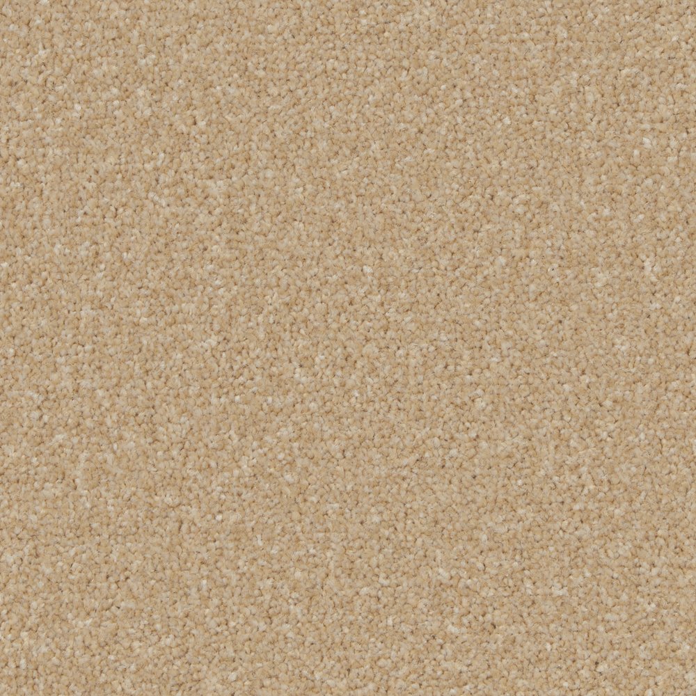 Ryton Oatmeal