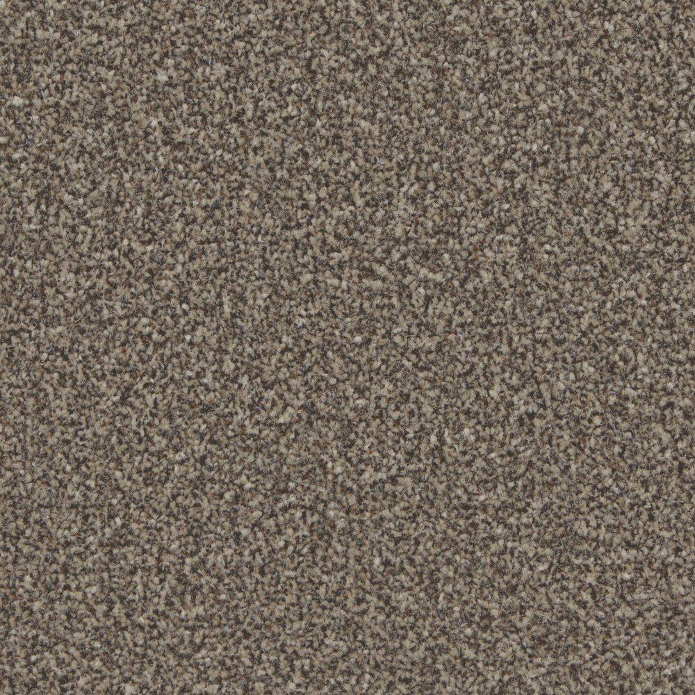 Satinwood