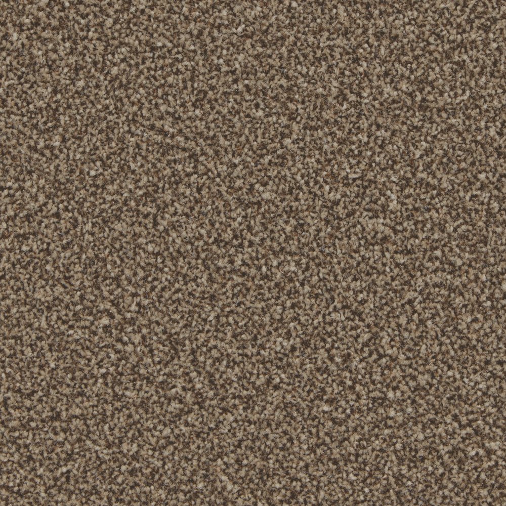 Shingle Beach