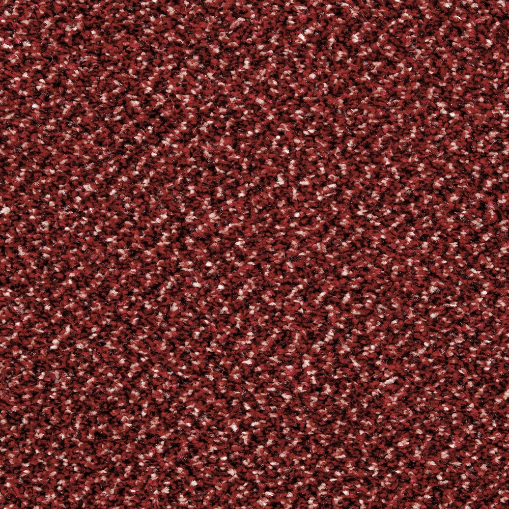 Burnt Sienna