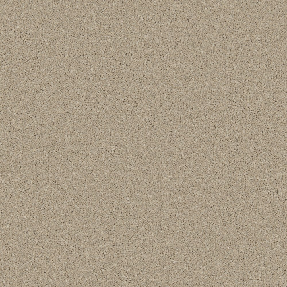 Cookie Dough