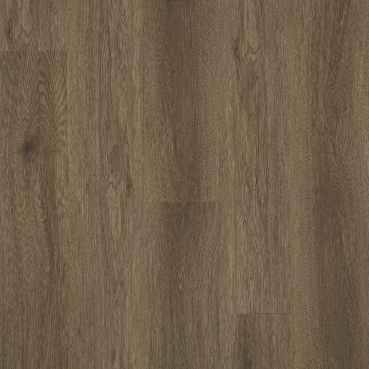 Wenge