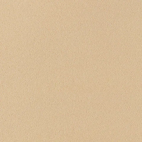 Brintons Bell Twist Indian Ivory carpet swatch
