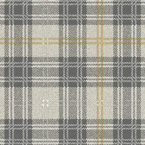 Ulster Carpets Braeburn Forge carpet swatch