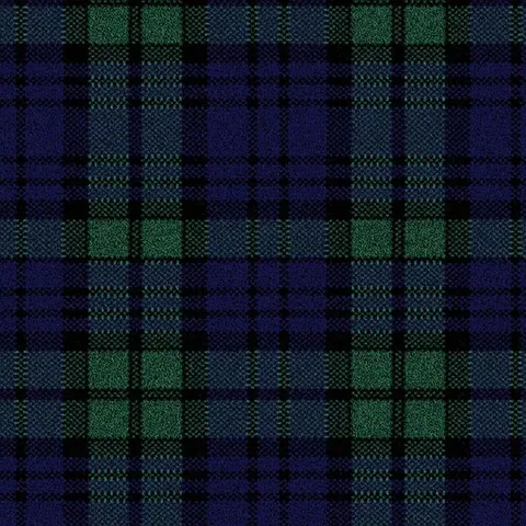 Ulster Carpets Glenmoy Blackwatch carpet swatch
