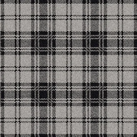 Ulster Carpets Glenmoy Douglas carpet swatch