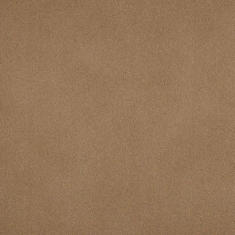 Ulster Carpets Grange Wilton Giltwood carpet swatch