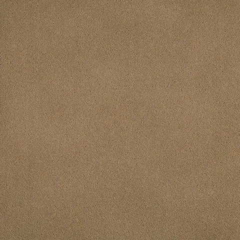 Ulster Carpets Grange Wilton Wattle carpet swatch