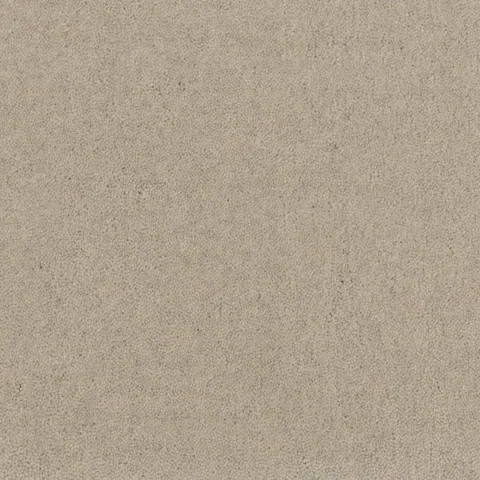 Brintons Lumora Almond Drift carpet swatch