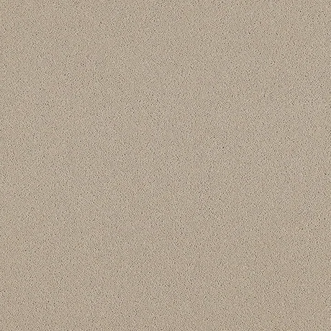 Ulster Carpets Natural Choice Collection Plains Platinum carpet swatch