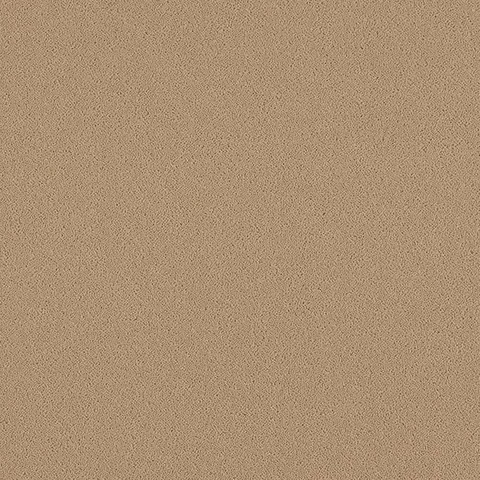 Ulster Carpets Natural Choice Collection Plains Plover carpet swatch