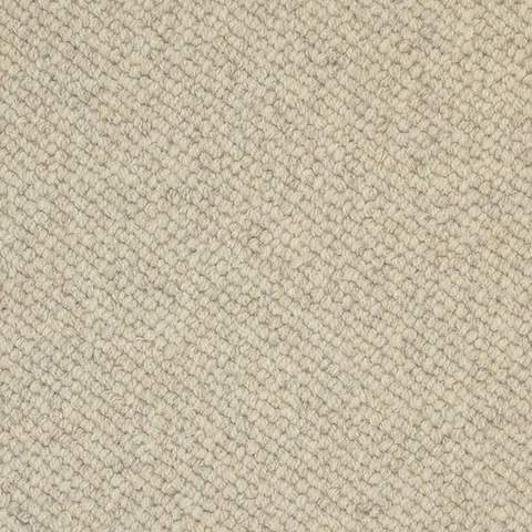Ulster Carpets Natural Choice Collection Textures Cheviot carpet swatch