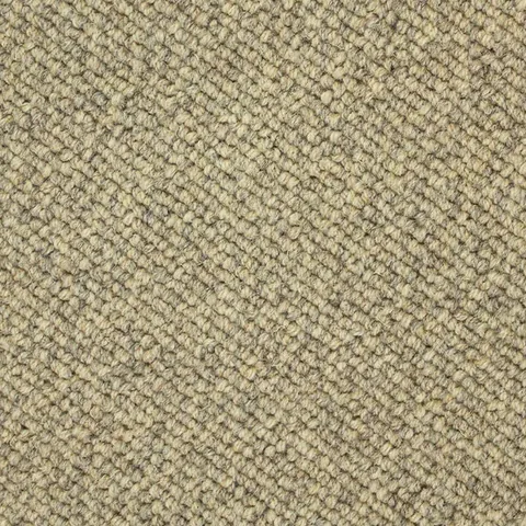 Ulster Carpets Natural Choice Collection Textures Drysdale carpet swatch