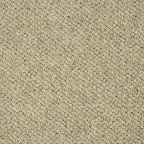 Ulster Carpets Natural Choice Collection Textures Teeswater carpet swatch