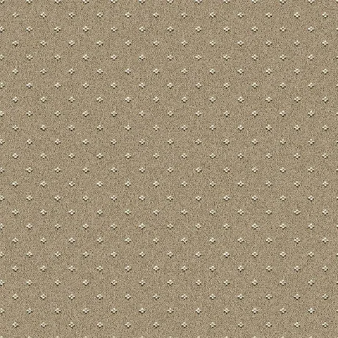 Ulster Carpets Sheriden Pindot Downton carpet swatch