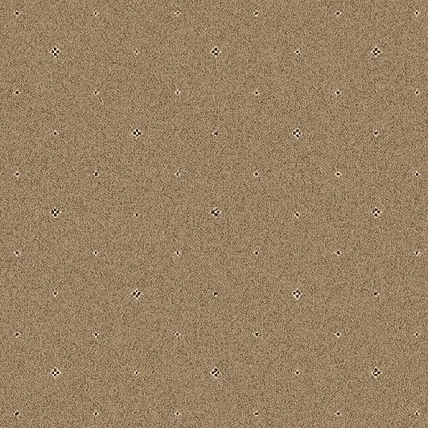 Ulster Carpets Tazmin Pindot Umber carpet swatch