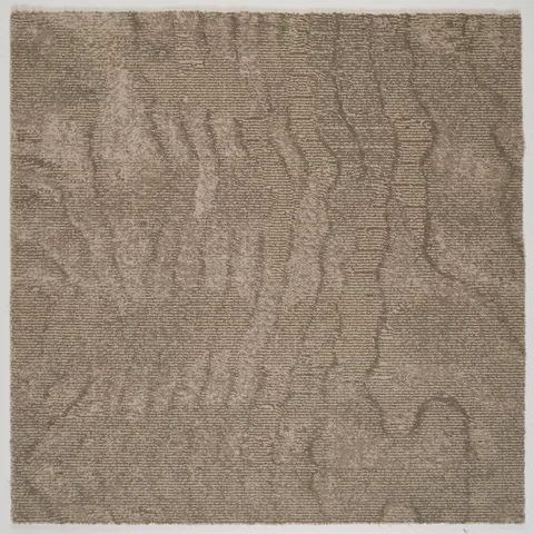 Brintons Timorous Beasties Collection by Brintons Moire Silt carpet swatch