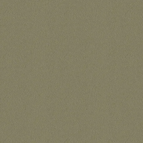 Ulster Carpets Ulster Velvet Aspen Green carpet swatch