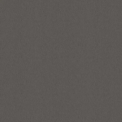 Ulster Carpets Ulster Velvet Barnstone carpet swatch