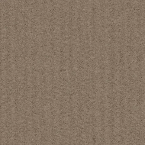 Ulster Carpets Ulster Velvet Canvas carpet swatch