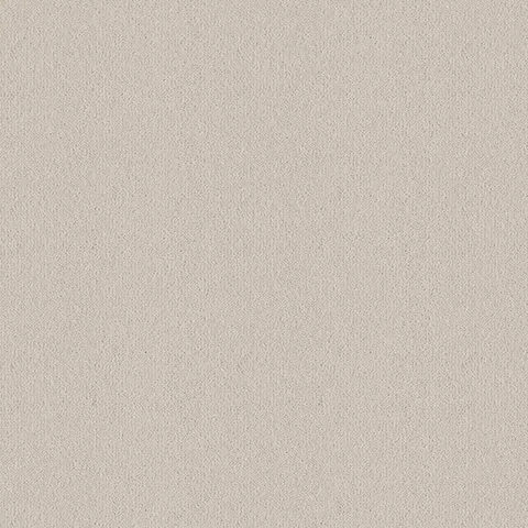 Ulster Carpets Ulster Velvet Chinchilla carpet swatch