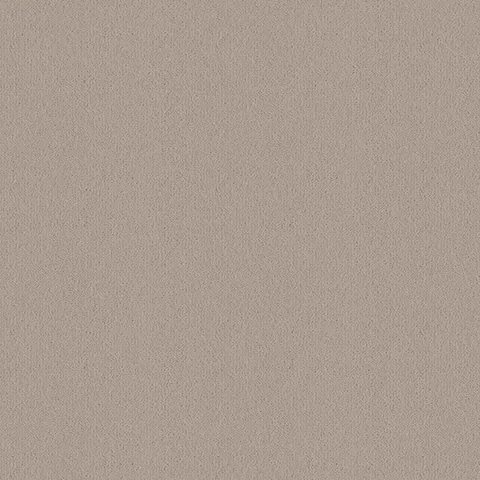 Ulster Carpets Ulster Velvet Cloister carpet swatch