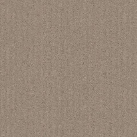 Ulster Carpets Ulster Velvet Dovecote carpet swatch