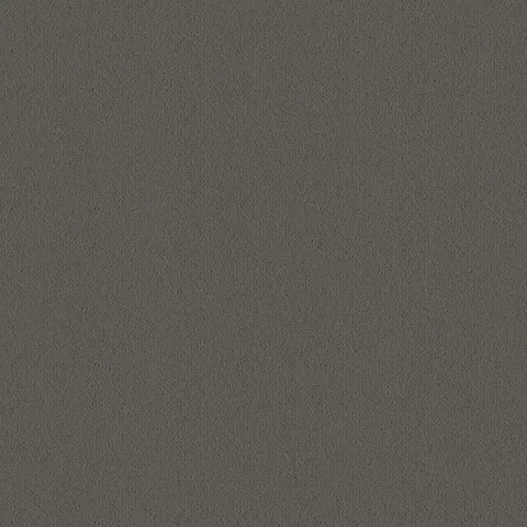 Ulster Carpets Ulster Velvet Elephant carpet swatch