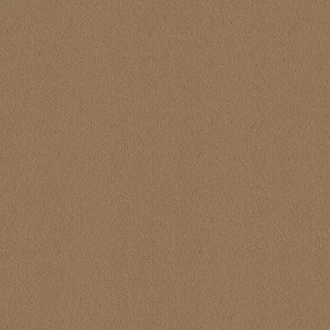 Ulster Carpets Ulster Velvet Fauna carpet swatch