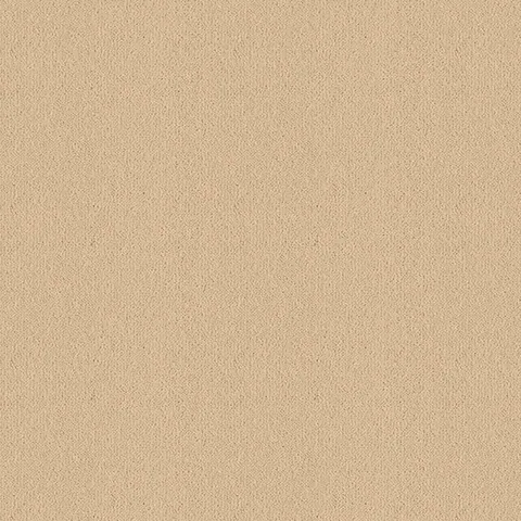 Ulster Carpets Ulster Velvet Impala carpet swatch