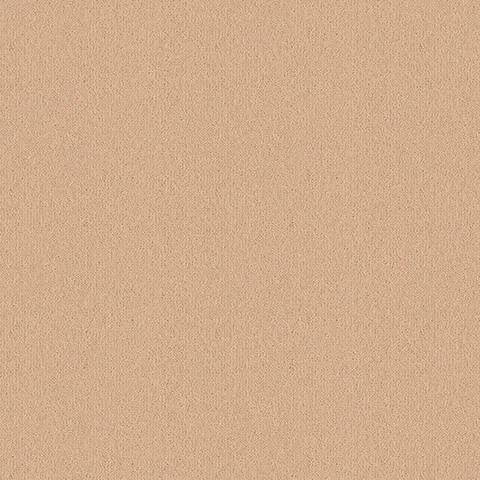 Ulster Carpets Ulster Velvet Jersey carpet swatch