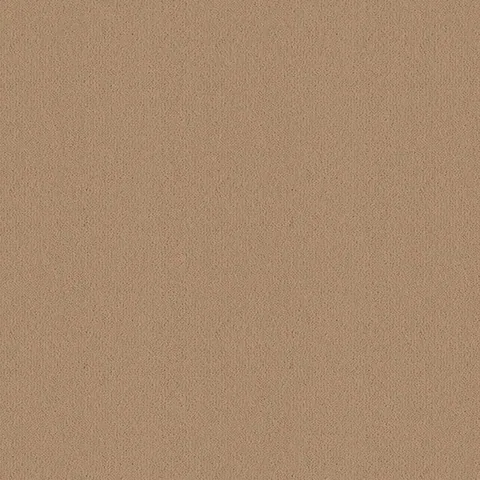 Ulster Carpets Ulster Velvet Mead carpet swatch